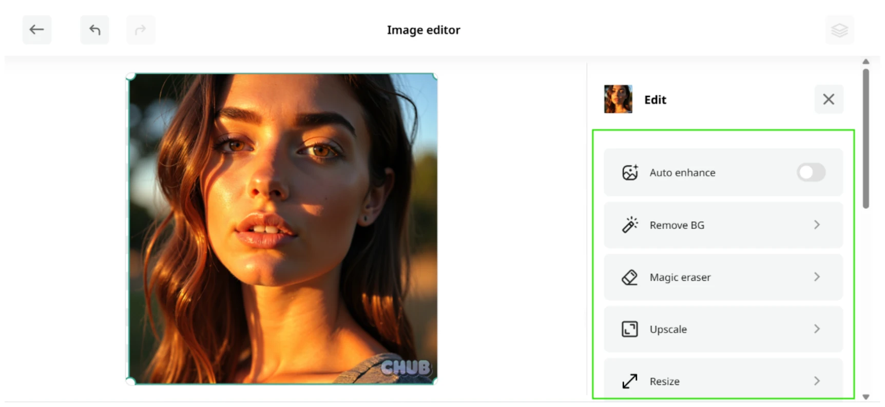 Image editor with a portrait on the canvas and the Edit panel options boxed in green on the right